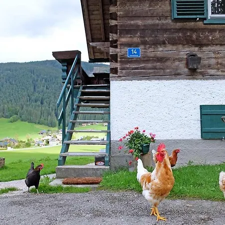 Asterbach Gosau