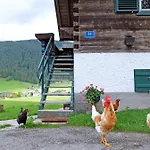 Asterbach Gosau